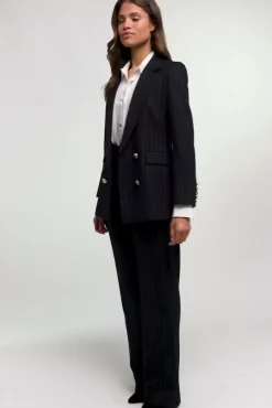 Outlet Double Breasted Blazer (Navy Chalk Pinstripe) Women Briefcase|Blazers
